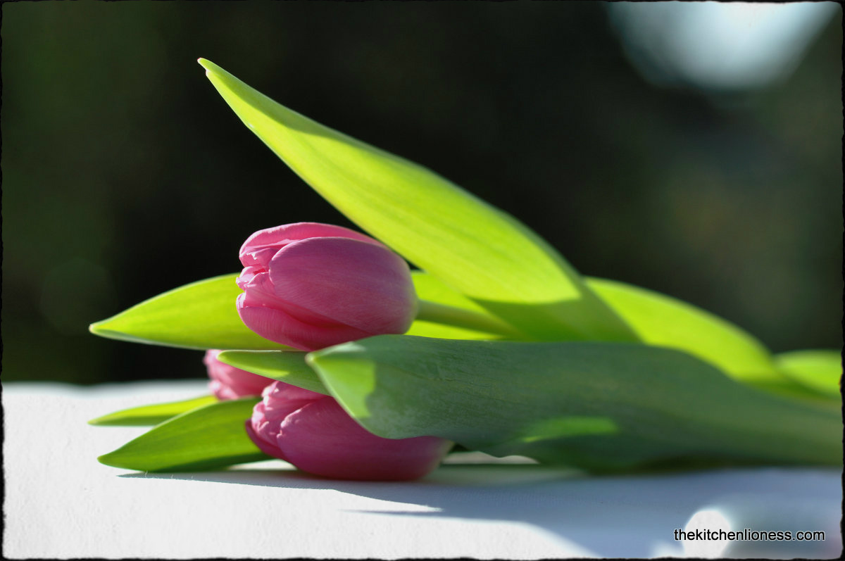The Kitchen Lioness Coconut Easter Lamb Cake Kokosnuss Osterlamm