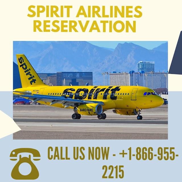 Spirit Air Reservations