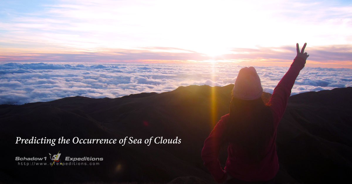 Pulag Sea of Clouds - Schadow1 Expeditions