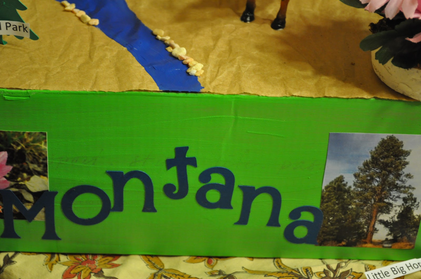 Juanita's life blog: 5th Grade State Project (Montana)