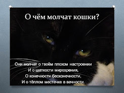 О чём молчат кошки?