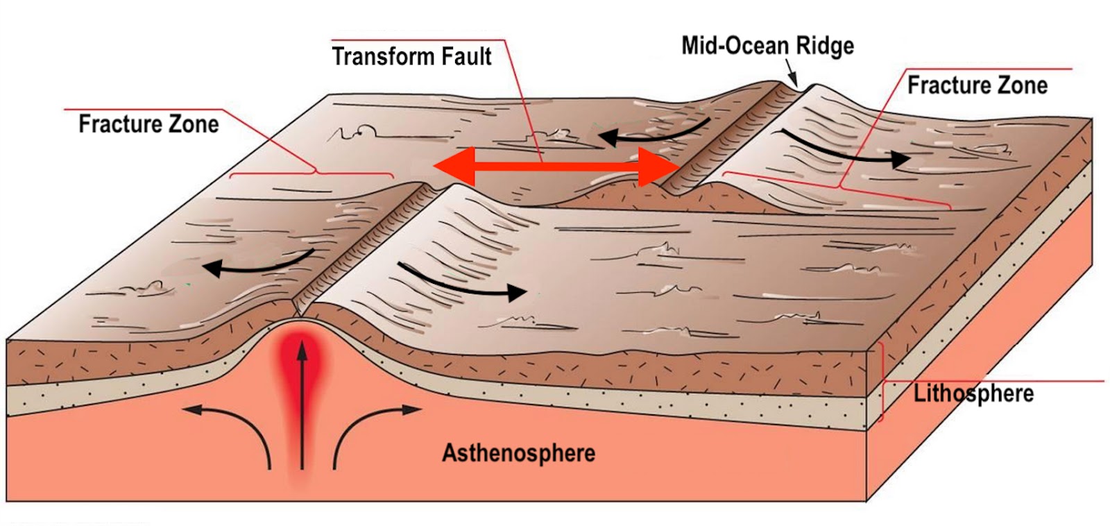 NephiCode Andean Deformation and Uplift—How an Island Became the Land