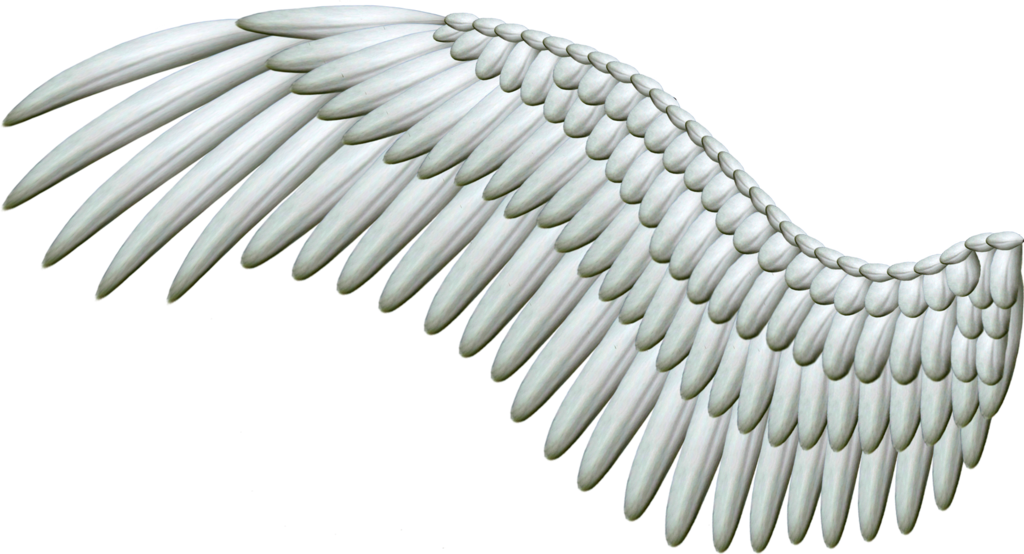 silver_wings_png.png