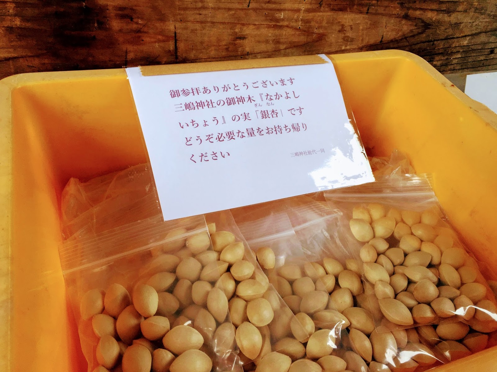 ヨーロッパの前衛