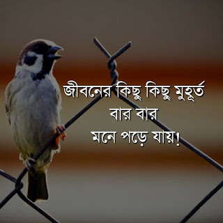 Sad Fb Status Bangla