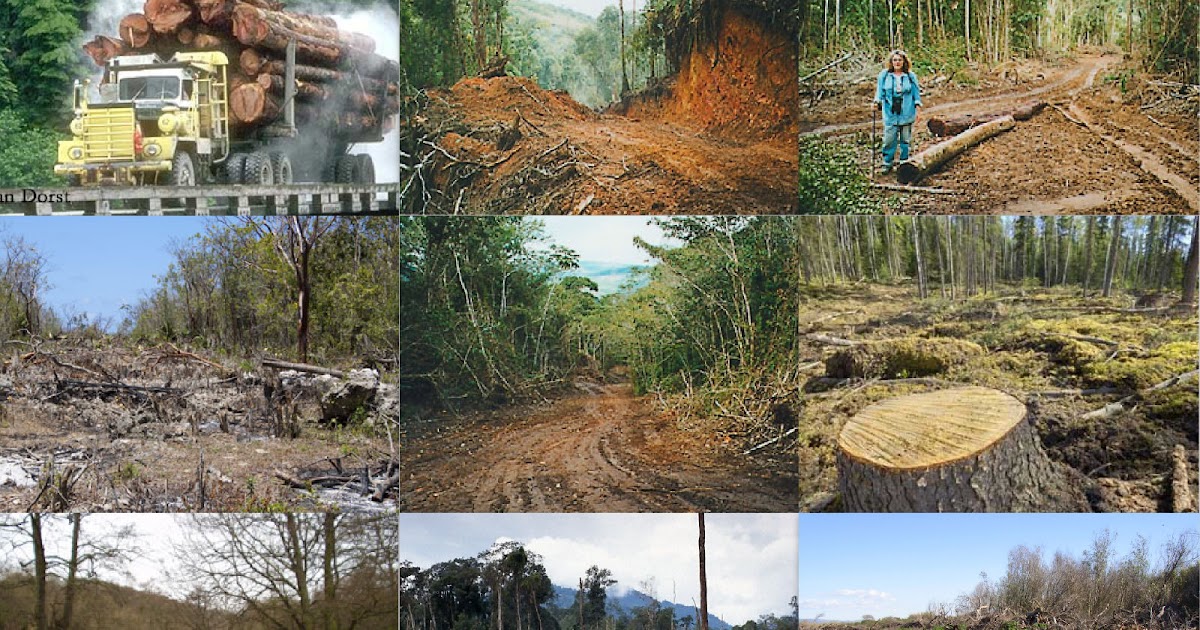 CONSERVACIÓN DE LA BIODIVERSIDAD DESTRUCCIÓN DE