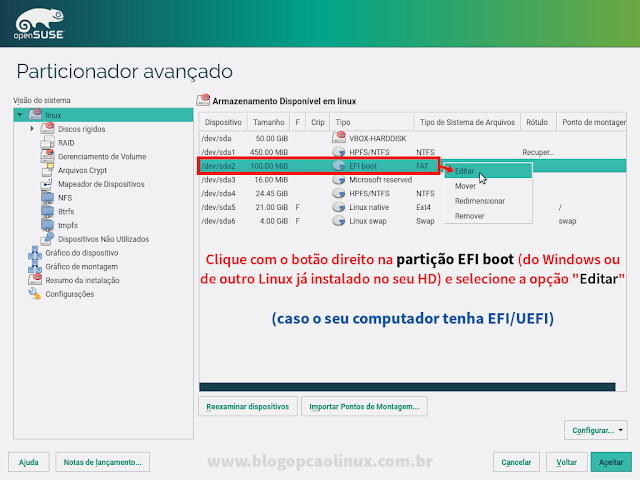 Clique sobre a sua partição EFI boot e SELECIONE A OPÇÃO EDITAR