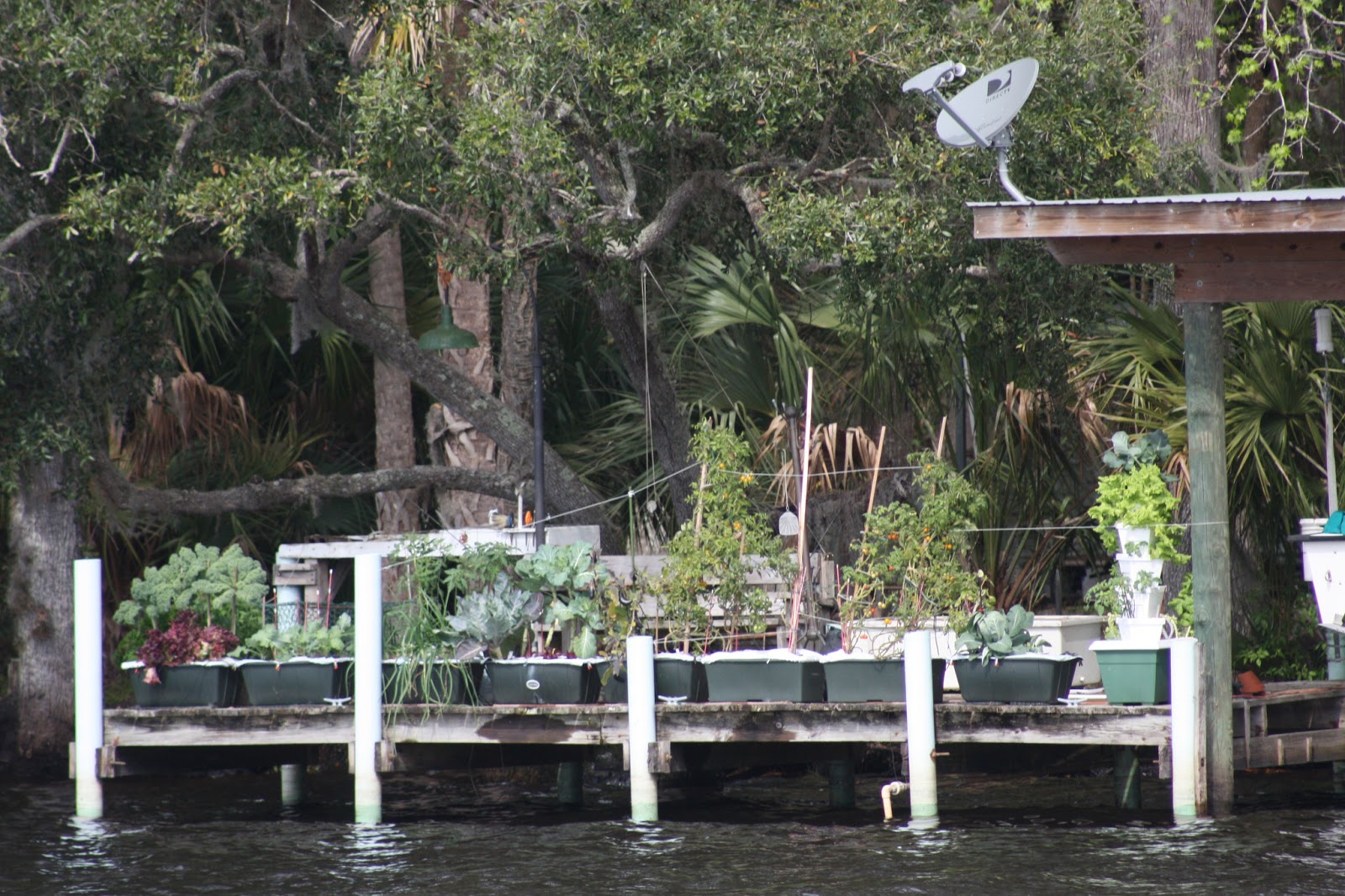 Meandering Joy Palatka to Welaka