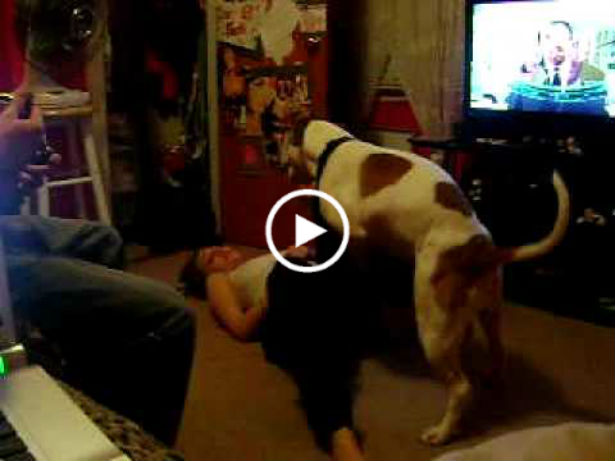 VIDEO DOG GIRL FUNNY MOVICE 2016