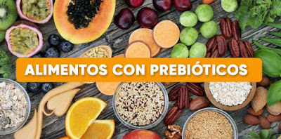 Definición prebióticos alimentación