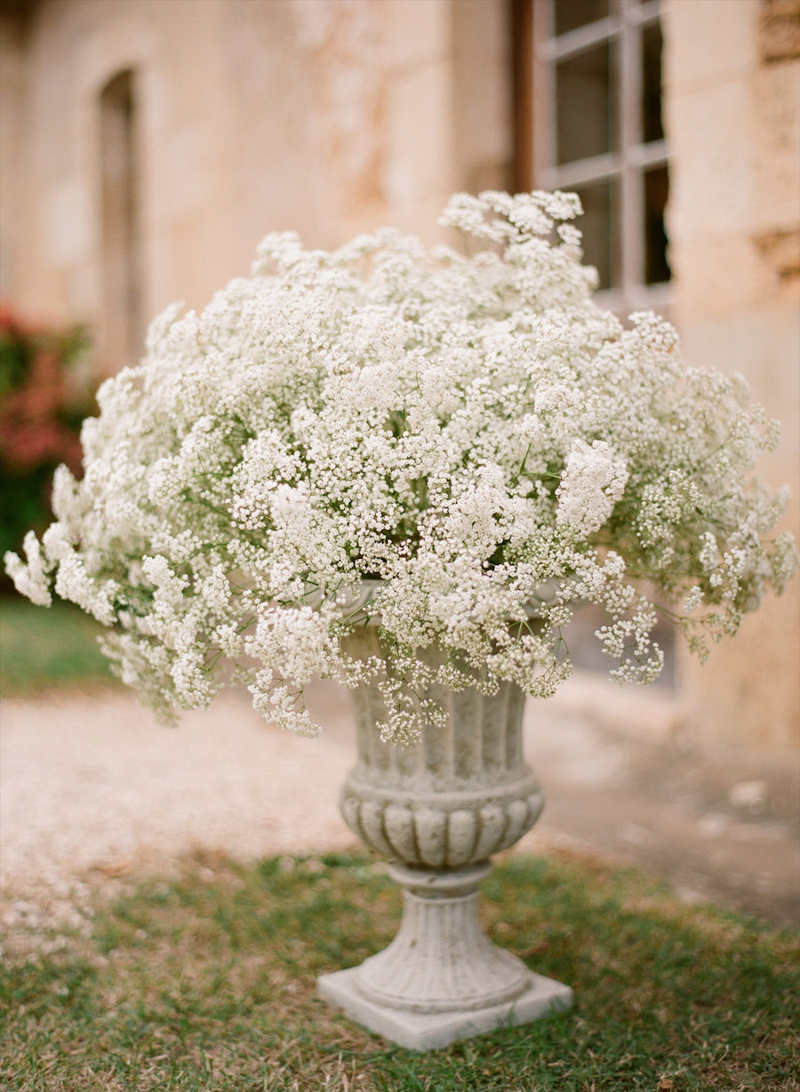 Style File: The Surprising Return of Baby’s Breath