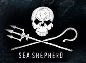 Sea Sheperd