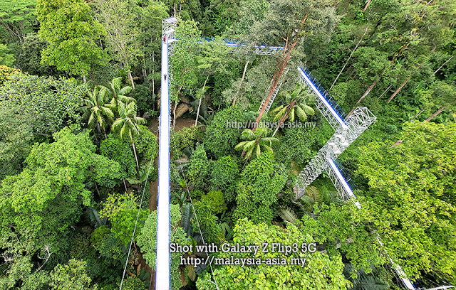 Canopy Walk Kepong