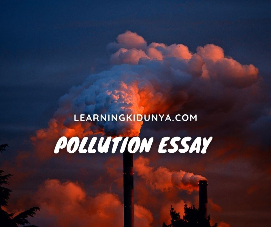 Pollution Essay With Quotations | Pollution Essay In English | Pollution Essay In Eglish in 500 words