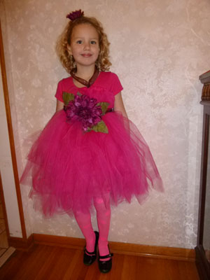 Save Green Being Green: 12 Gifts of Christmas: Tutu Dress