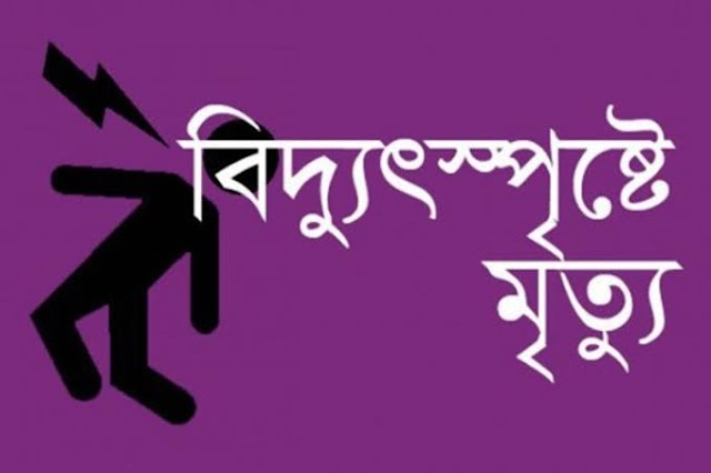 পঞ্চগড়ে  বিদ্যুৎষ্পর্শে  এক যুবকের মৃত্যু