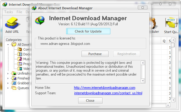 Download manager ключ