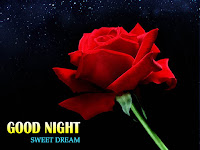 good night message, single rose photo to wishing good night message with sweet dreams too