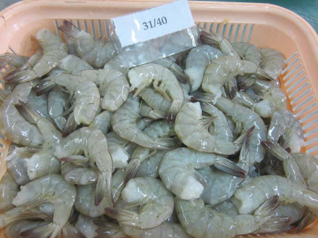 Best Indonesian Shrimp Exporters Production Method Indonesia Shrimps