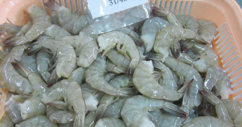 Best Indonesian Shrimp Exporters Production Method Indonesia Shrimps