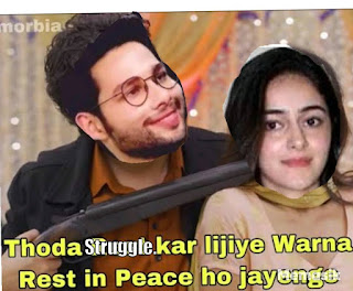 Top 10 Memes of Maine Bahut Struggle Kiya Hai, Ananya Pandey Memes