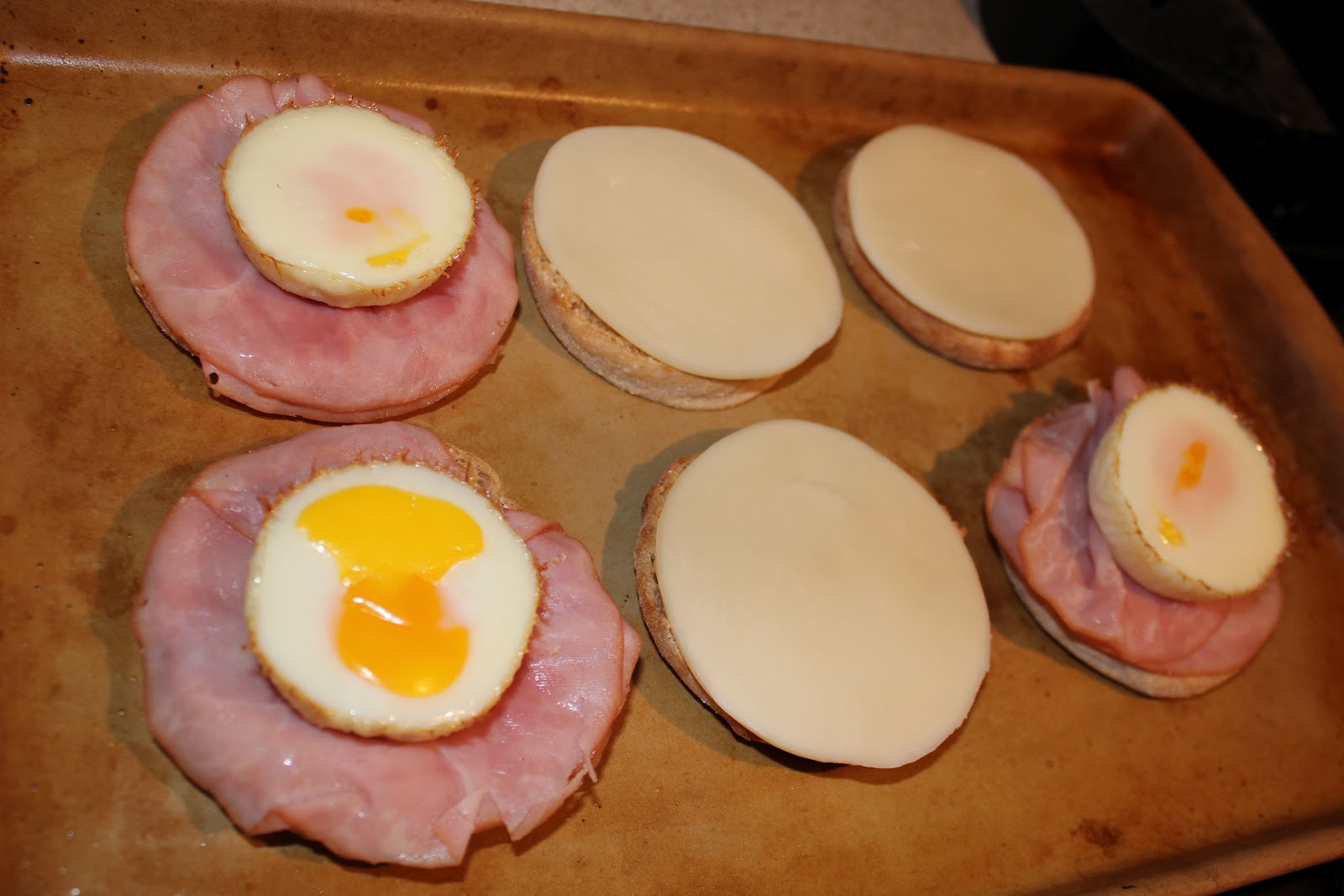 Day in the Life of a Griffin Eggs in a Muffin Pan