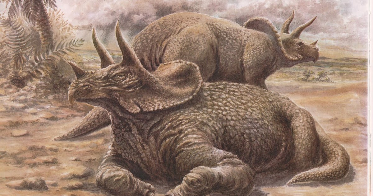 Leçons de choses Les dinosaures à cornes