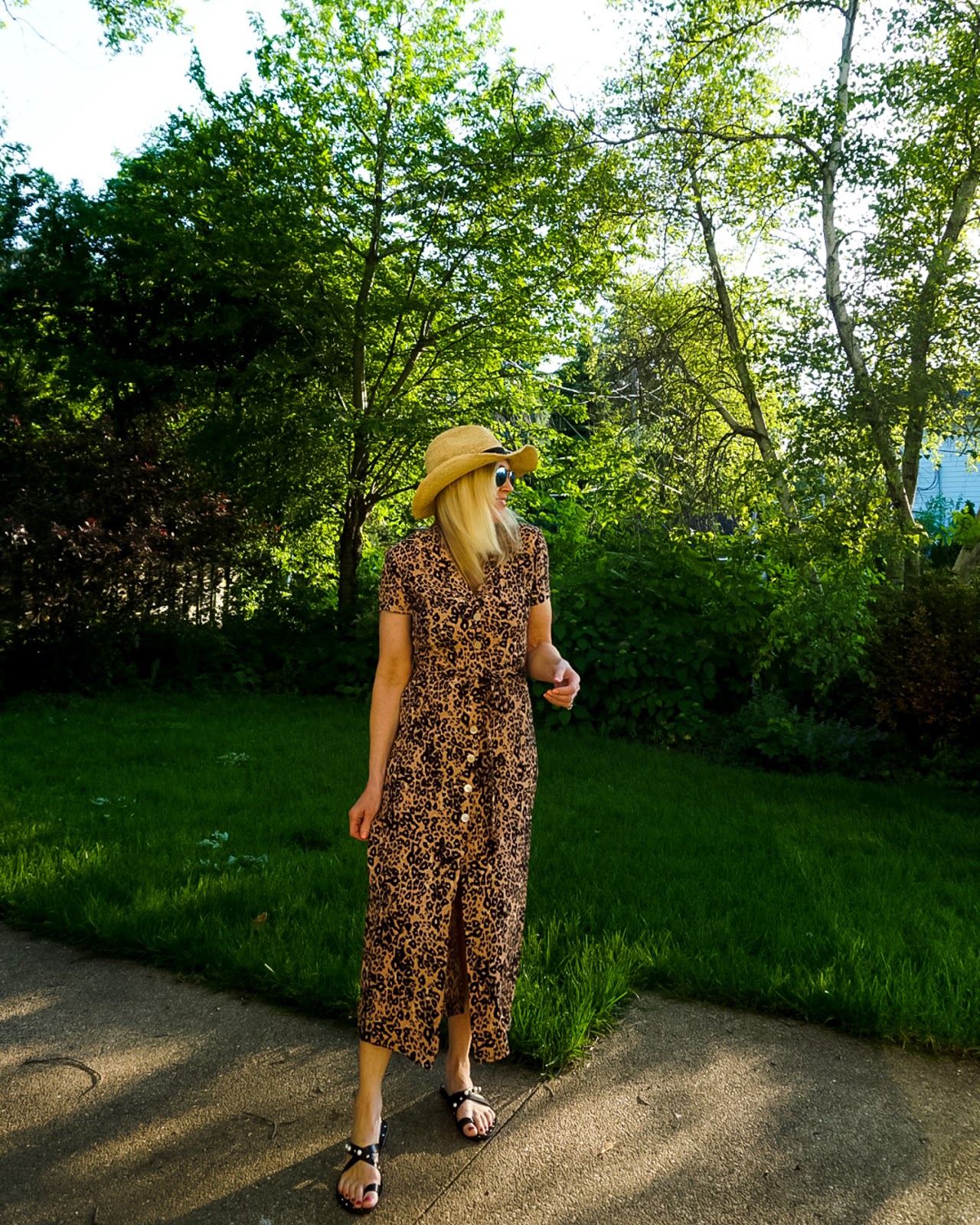 Leopard Print Dress