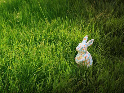 Bunny in the Grass HD Wallpaper