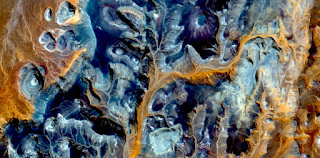 allegory orange algae,Stone plant fantasy,Abstract Naturalism,abstract photography deserts of Africa from the air,abstract surrealism,mirage in desert,fantasy forms and colors ,plants,leaves, allegory orange algae,Stone plant fantasy,Abstract Naturalism,abstract photography deserts of Africa from the air,abstract surrealism,mirage in desert,fantasy forms and colors ,plants,leaves,