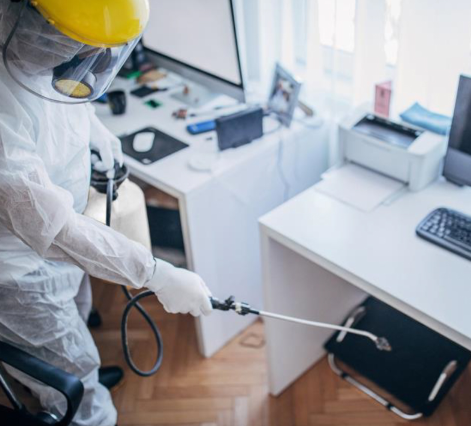 Pest Control And Termite Inspection In Kitchener On