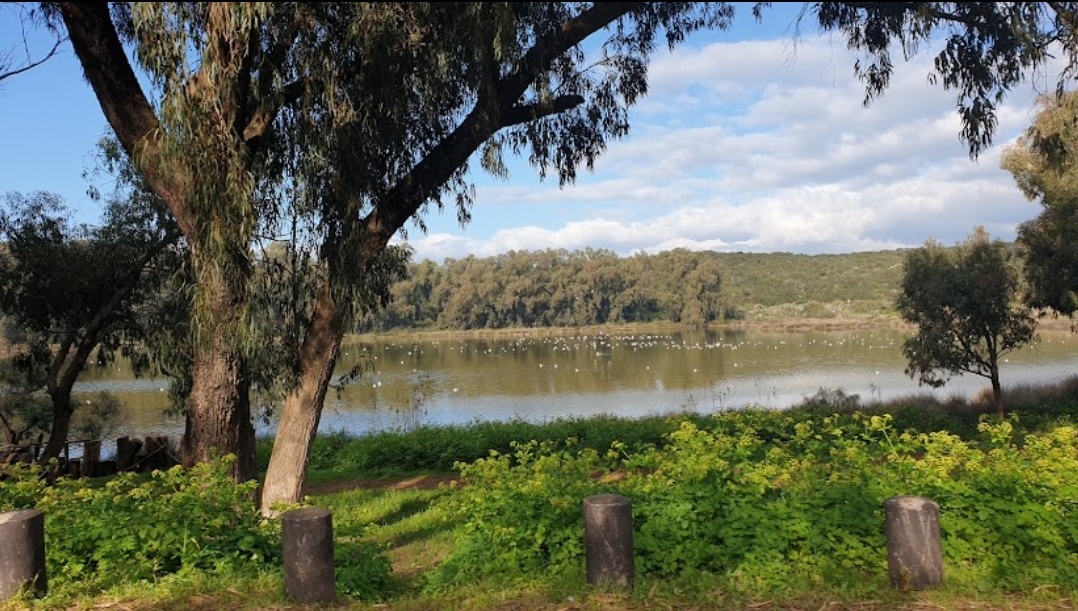 Lac Sidi Boughaba Kenitra parc National