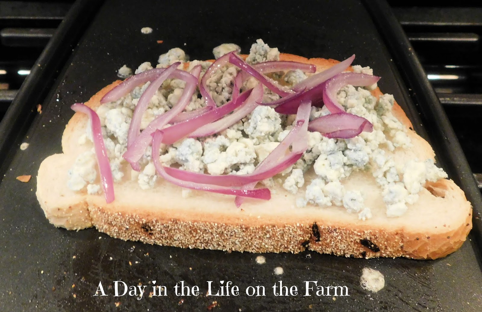 A Day in the Life on the Farm Grilled Blue Cheese and Onion Sandwich 