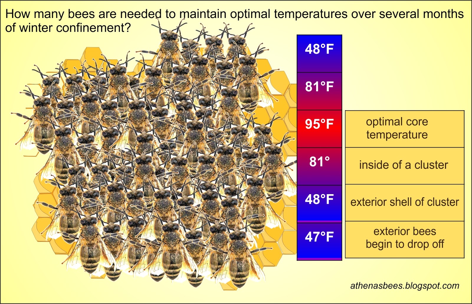 mutiny of the worker bees mutiny of the worker bees