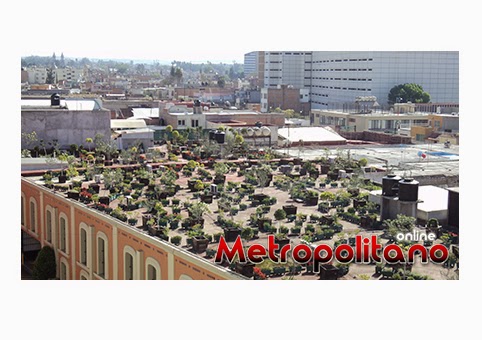 Mal hechos los techos verdes de la pasada administración municipal