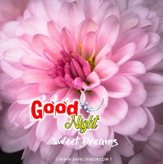 good night flowers messages