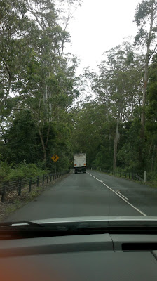 Looking over the car dashboard and through the windscreen, on the road ahead is a white lorry. A diamond shaped road advisory sign is on the left. Either side of the road is heavily wooded with lots of green undergrowth.  This is echidna country!