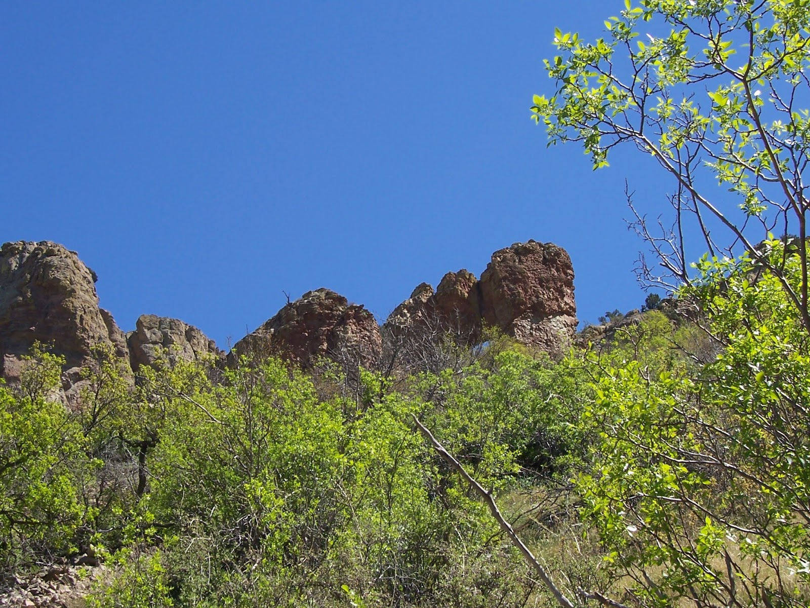 Southern New Mexico Explorer Florida Mountains Windmill Canyon