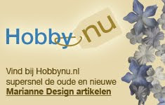 Logo Hobby nu