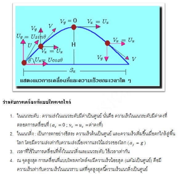 My Image 24