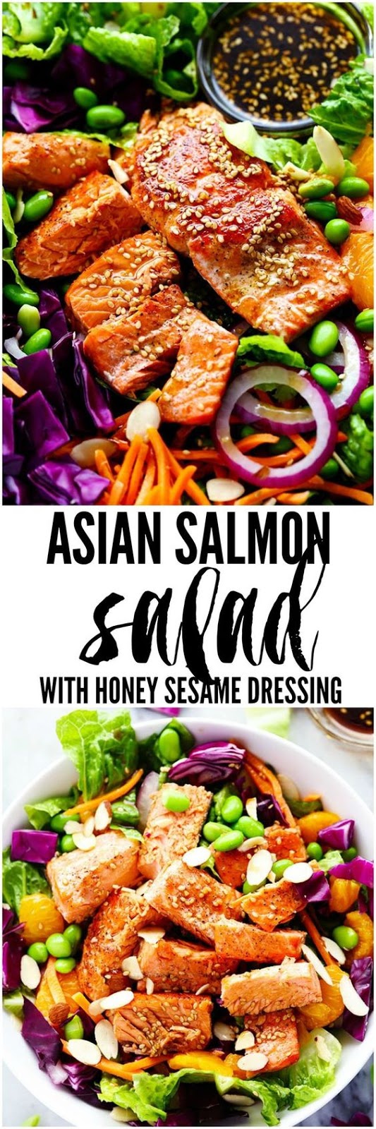 ASIAN PAN SEARED SALMON SALAD WITH HONEY SESAME DRESSING Asrifood