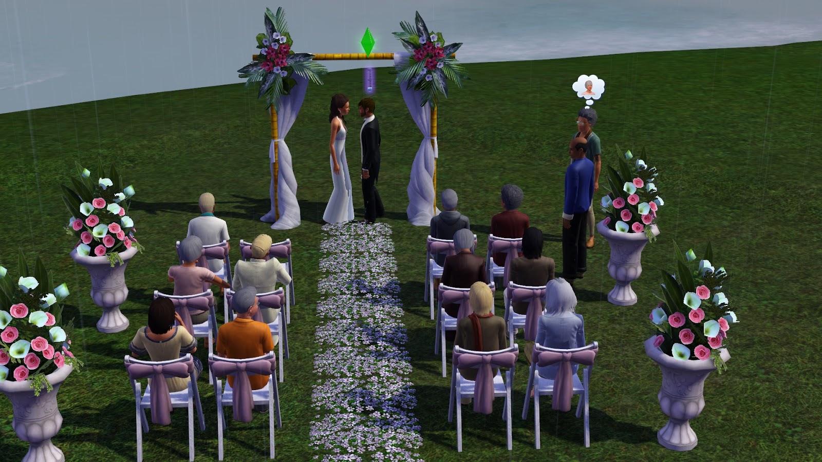 Sims 3 Lifetime Wishes Deep Sea Diver