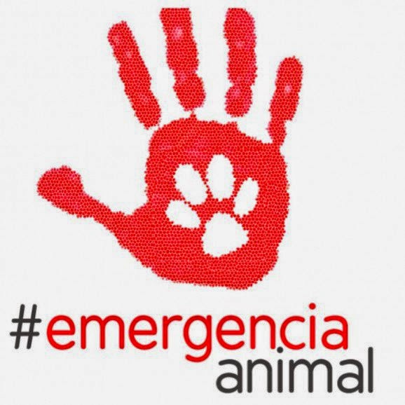 Emergencia Animal