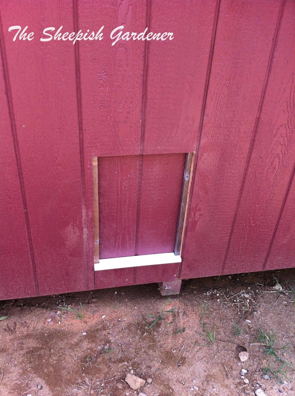 The Sheepish Gardener Feathered Friday Chicken Coop Pop Door