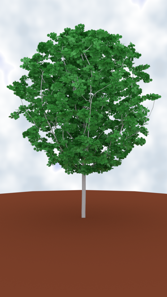 texture blender trees texture blender trees
