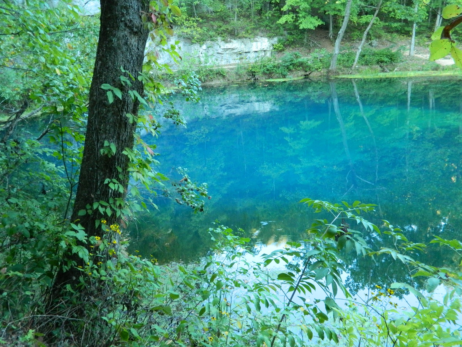 Climbin' Up The Mountain Is one of these Missouri Springs the Waters