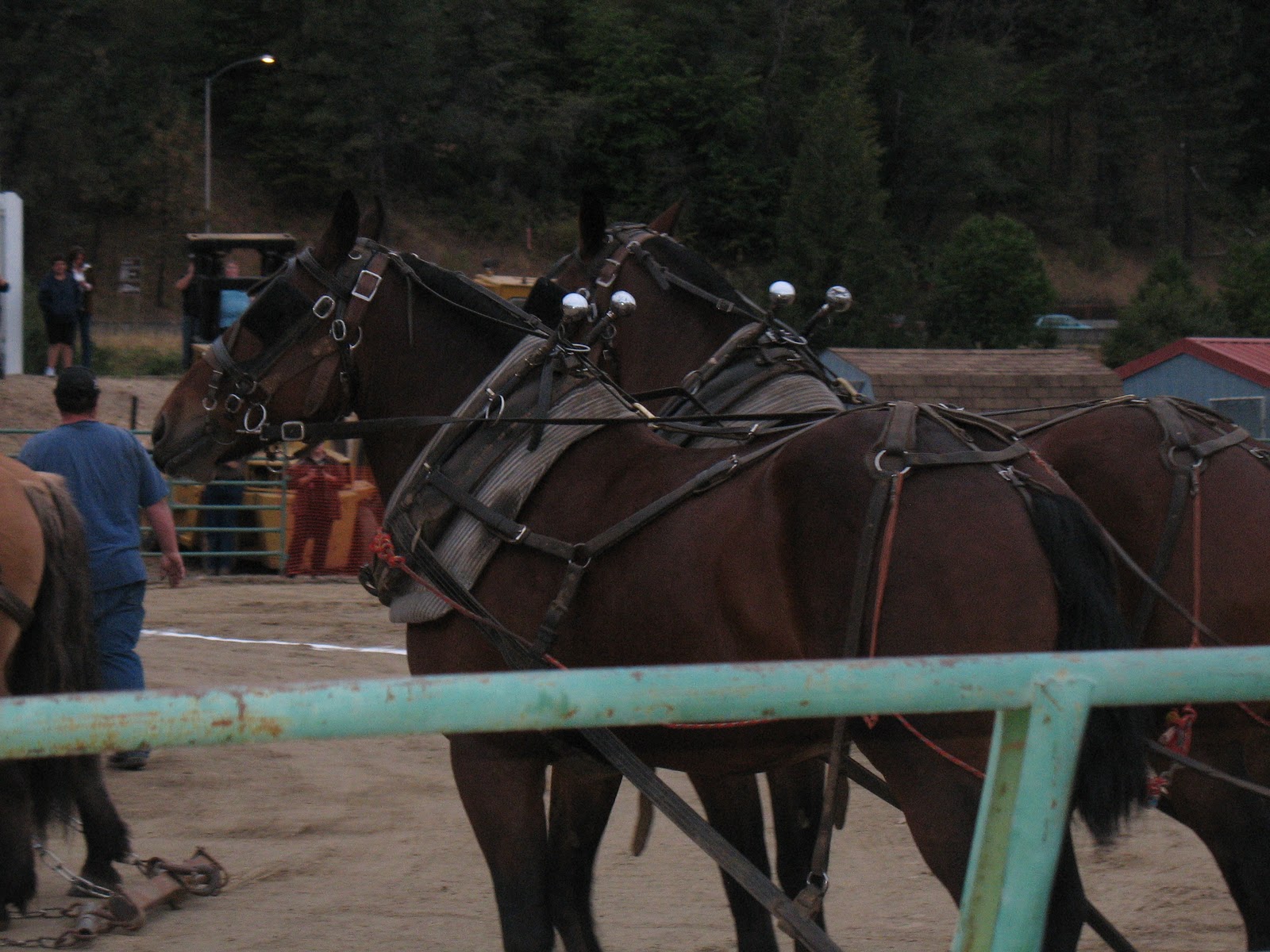 Red Roof Heritage Farm: Lumberjack Days and the Clearwater County Fair