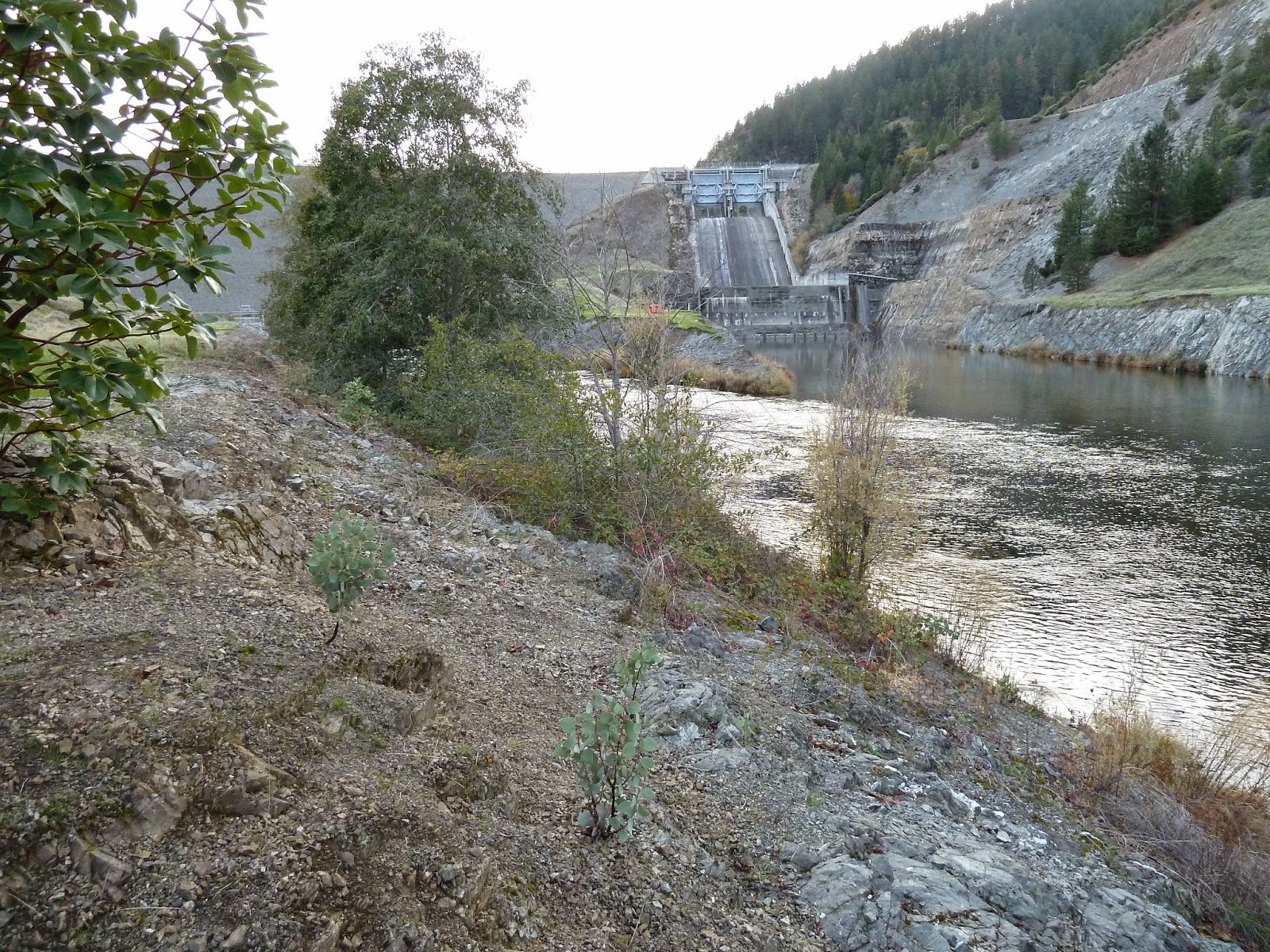 The Siskiyou Crest Applegate Dam hydroelectric project terminated by FERC