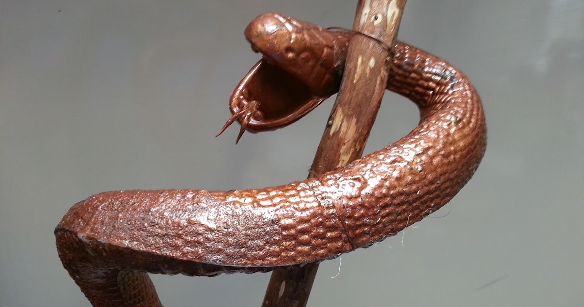 Fresh off the Mark The Bronze Snake