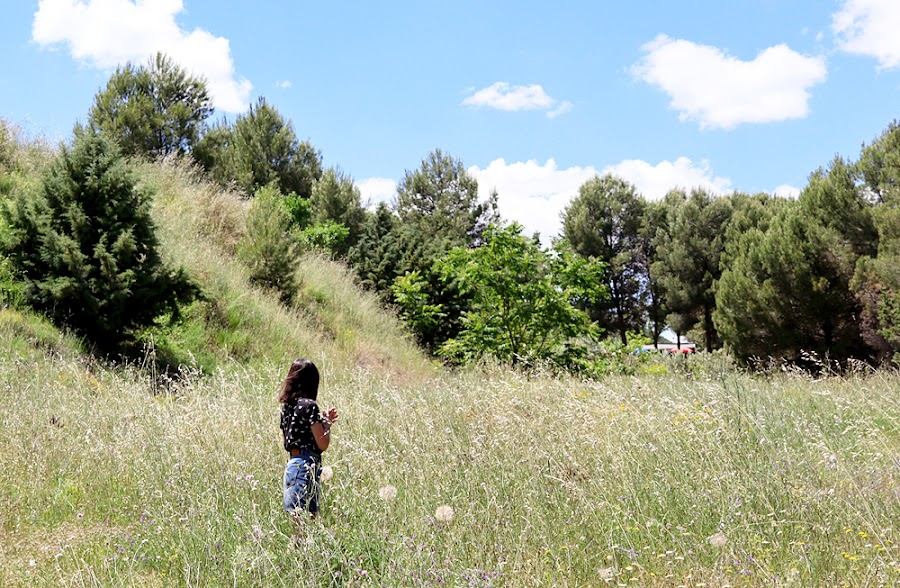 lejos ciudad zaragoza tranquera nuévalos